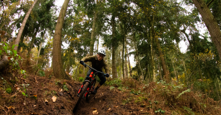 Enduro Collection banner