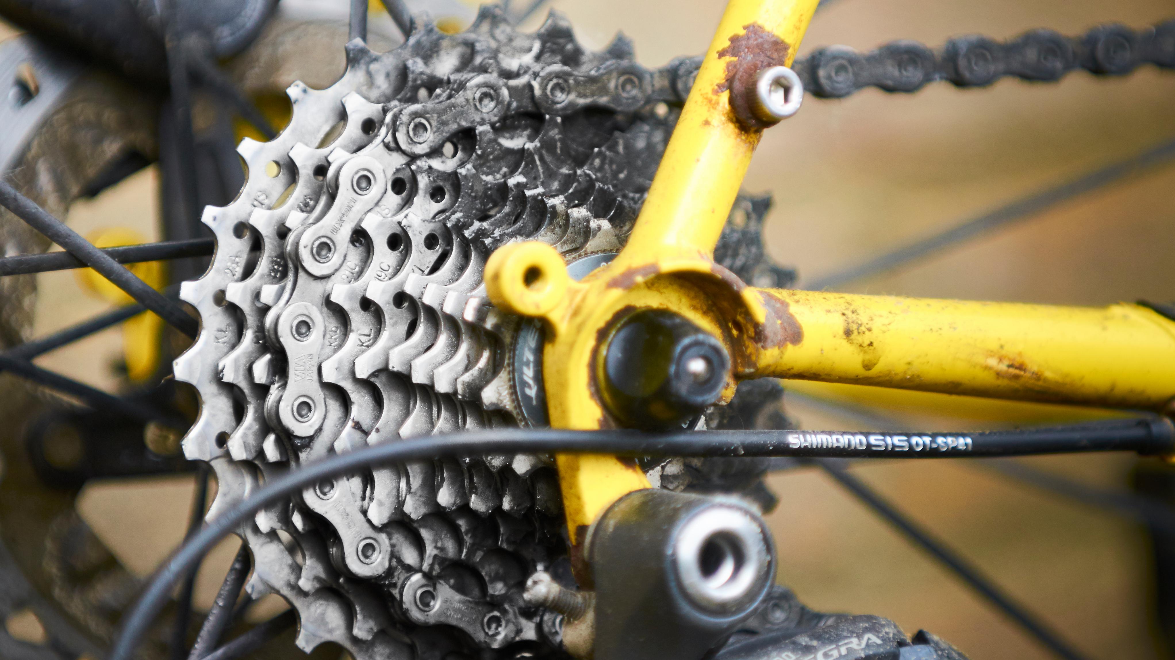 Essential pre-ride maintenance tips